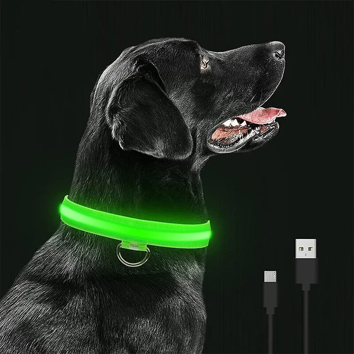 ProPetz - LED Hundehalsband mit USB und Akku