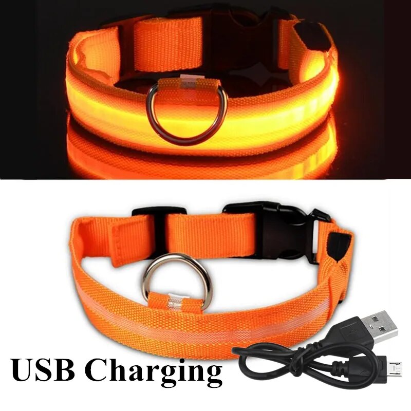 ProPetz - LED Hundehalsband mit USB und Akku