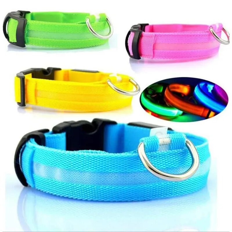 ProPetz - LED Hundehalsband mit USB und Akku