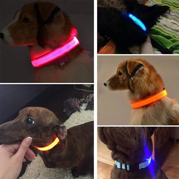 ProPetz - LED Hundehalsband mit USB und Akku